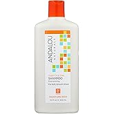 Andalou Naturals Argan Oil &amp; Shea Moisture Rich Shampoo, Orange, 11.5 Ounce