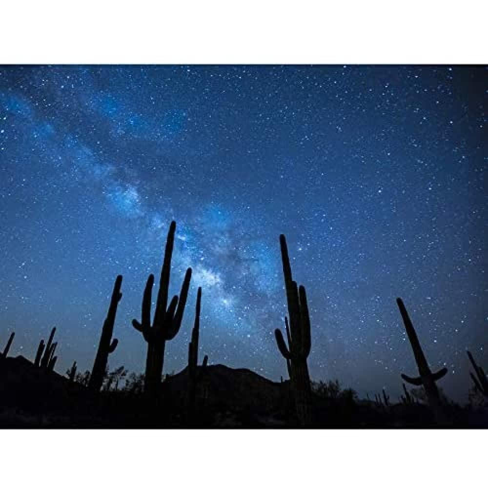 Artery8 BLM Night Sky Sonoran Desert Arizona Cactus Silhouettes Art Print Canvas Premium Wall Decor Poster Mural