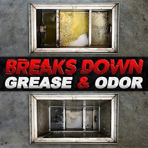 Concentrated Liquid Bacterial ENZYMES - Breaks Down Grease, Paper,Fat & Oil in Drain Lines, Sewer Lines, Septic Tanks, Grease Traps, RV & Boat Tanks & More! Controls Foul Sewer Odors! (1 Gallon)