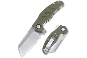 Kizer Knives Pocket Knife with Clip G10 Handle Material EDC Folding knife Mini Sheepdog V3488C2