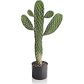 momoplant Artificial Cactus Potted Plant Faux Cacti 19 Inch Cactus Plant with Black Planter for Home Garden Office Decor Indoor Outdoor