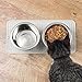 mDesign Premium Quality Pet Food and Water Bowl Feeding Mat for Cats and Kittens - Waterproof Non-Slip Durable Silicone Placemat - Raised Edges, Food Safe, Non-Toxic - Small - Clear