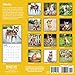 2020 Shiba Inu Calendar 16 Month 12 x 12 Wall Calendar by Bright Day Calendars (Shiba Inu 2019)