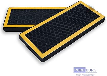 Amazon.com: PUREBURG 2-Pack Replacement Carbon Filters for HoMedics