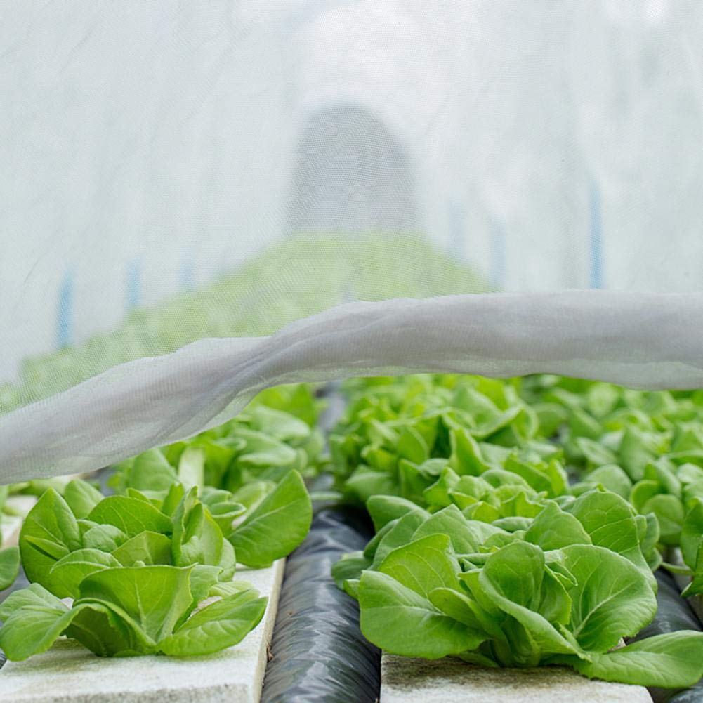 piece-hair.com Morningtime Garten Pflanze Schutz Netz Gemüse Mesh