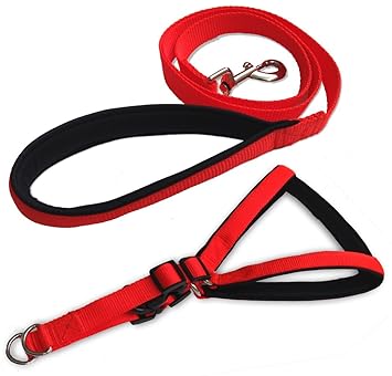Smarty Pet Nylon with Padding Dog Harness (Medium, Red and Black, 1 Inch)