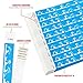 WristCo Blue Dolphins Tyvek Wristbands for Events - 500 Count - Comfortable Tear Resistant Paper Bracelets ID Wrist Bands for Concerts Festivals Admission Party Identification