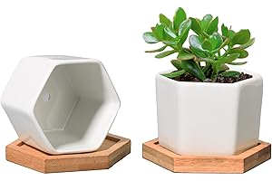 T4U Small White Succulent Planter Pots with Bamboo Tray Hexagon Set of 2, Geometric Ceramic Cactus Plant Holder, Succulent Plant Gifts for Gardener Women Coworker, Home Office Table Desk Decoration