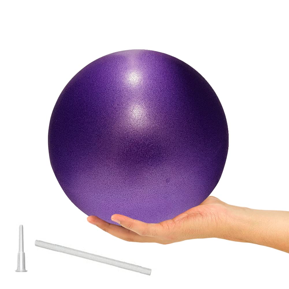 Photo 1 of ElwynnLane 9 Inch Exercise Pilates Ball Mini Exercise Barre Ball for Yoga,Stability Exercise Training Gym Anti Burst and Slip Resistant Balls Physical Therapy Improves Balance