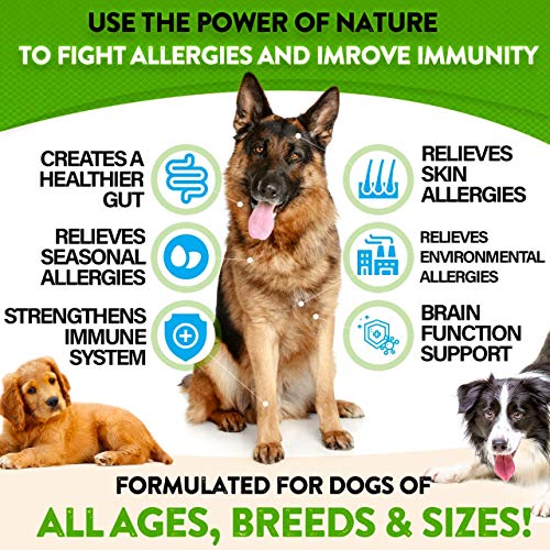 FurroLandia Dog Allergy Relief Chews Omega 3 Salmon Fish Oil