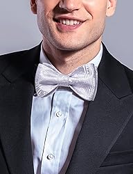 DiBanGu Light Purple Silk Bow Tie Set for Men