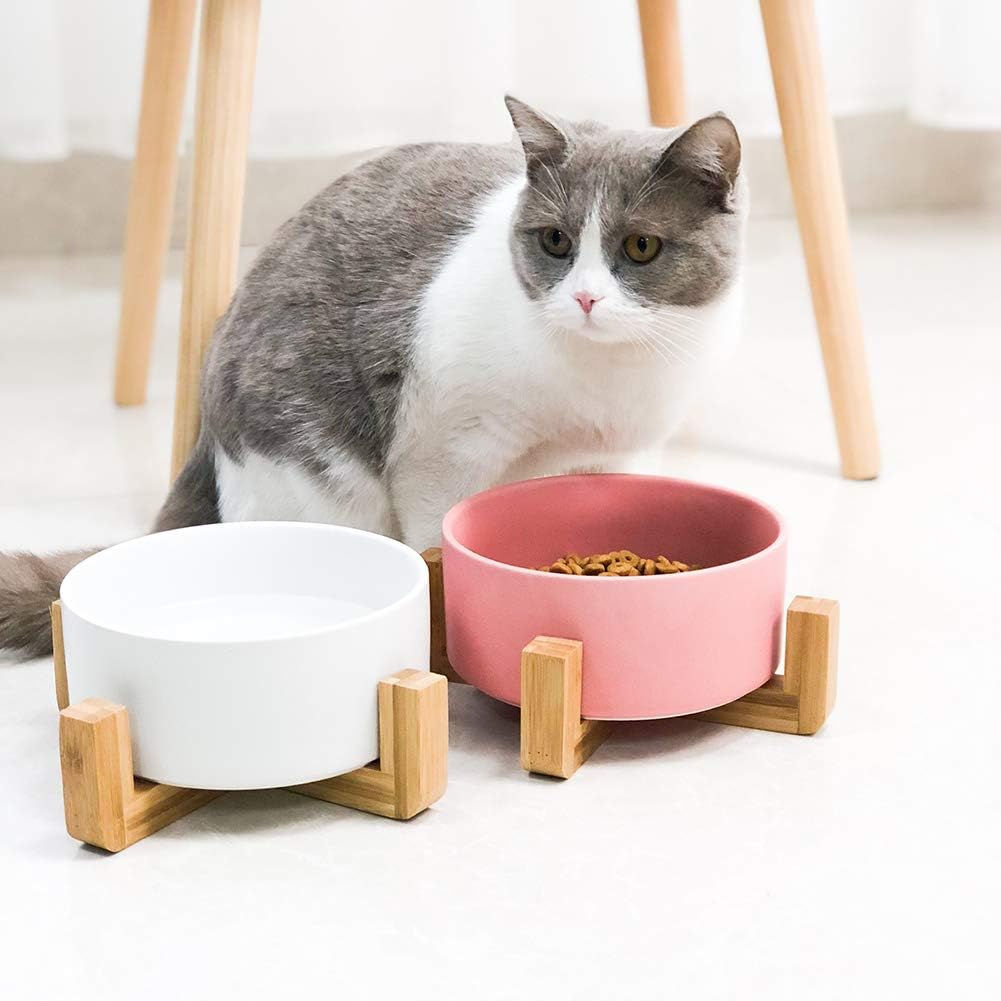 HCHLQLZ White Ceramic Cat Bowl with Wood Stand No Spill Pet Food Water ...