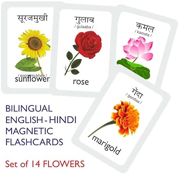 MFM Toys Birds Magnetic Flashcards ~ (Bilingual English + Hindi Flashcards) (Flowers)