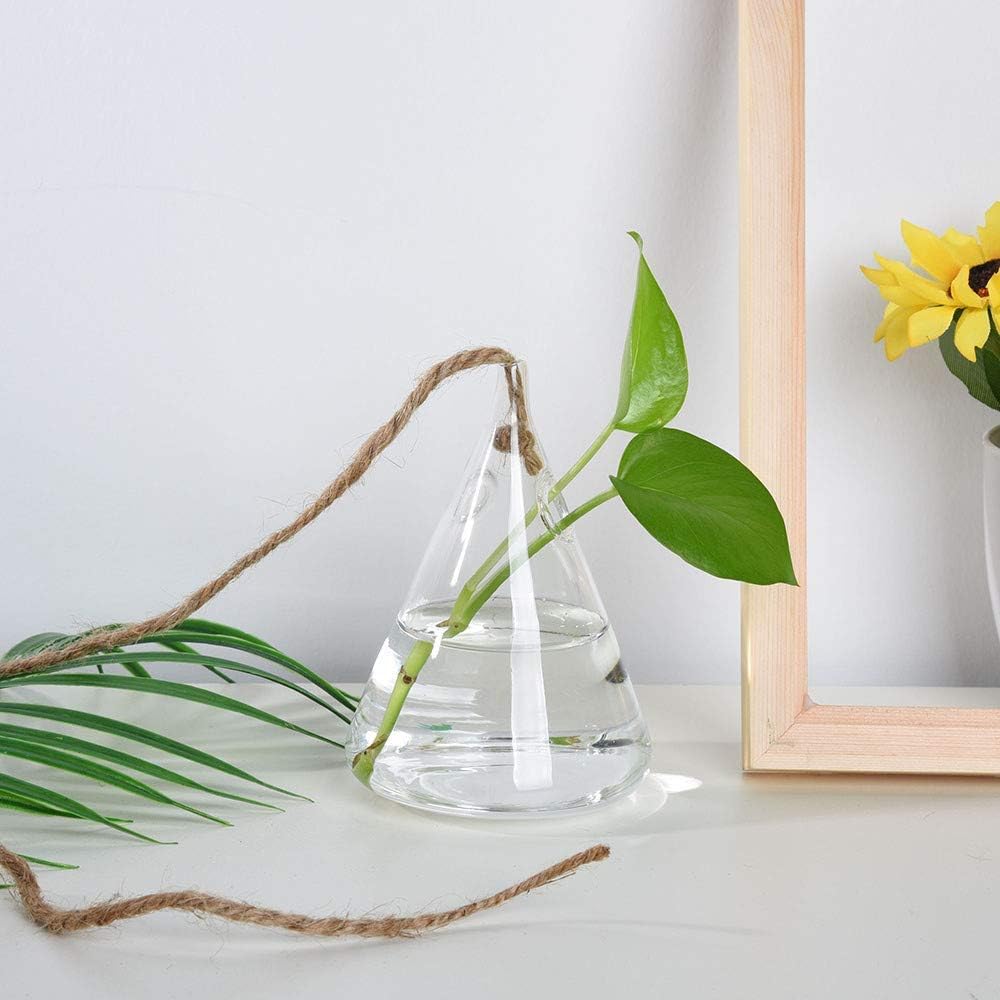 Ivolador Terrarium Container Flower Planter Hanging Glass for Hydroponic Plants Home Garden Decor -3 Type : Garden & Outdoor