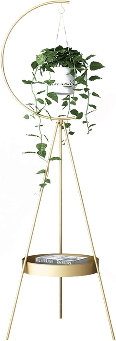 Las 10 Mejores Jardinera semicircular para huertos | (Abril 2021) | Guía