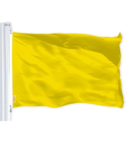 Amazon.com : G128 Solid Golden Yellow Color Flag | 3x5 Ft