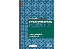 Entrepreneurial Strategy: Starting, Managing, and Scaling New Ventures
