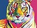 Komking Paint by Number for Kids & Adults Beginner, Paint by Numbers Kits on Canvas, Art Craft Painting Kits Gifts for Home Decor, Colorful Tiger Without Frame 16x20inch