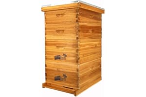 MayBee 10-Frame Langstroth Beehive Dipped in 100% Beeswax, Complete Bee Hives and Supplies Starter Kit Includes 2 Deep Hive Bee Box and 2 Bee Hive Super with Beehive Frames and Foundation