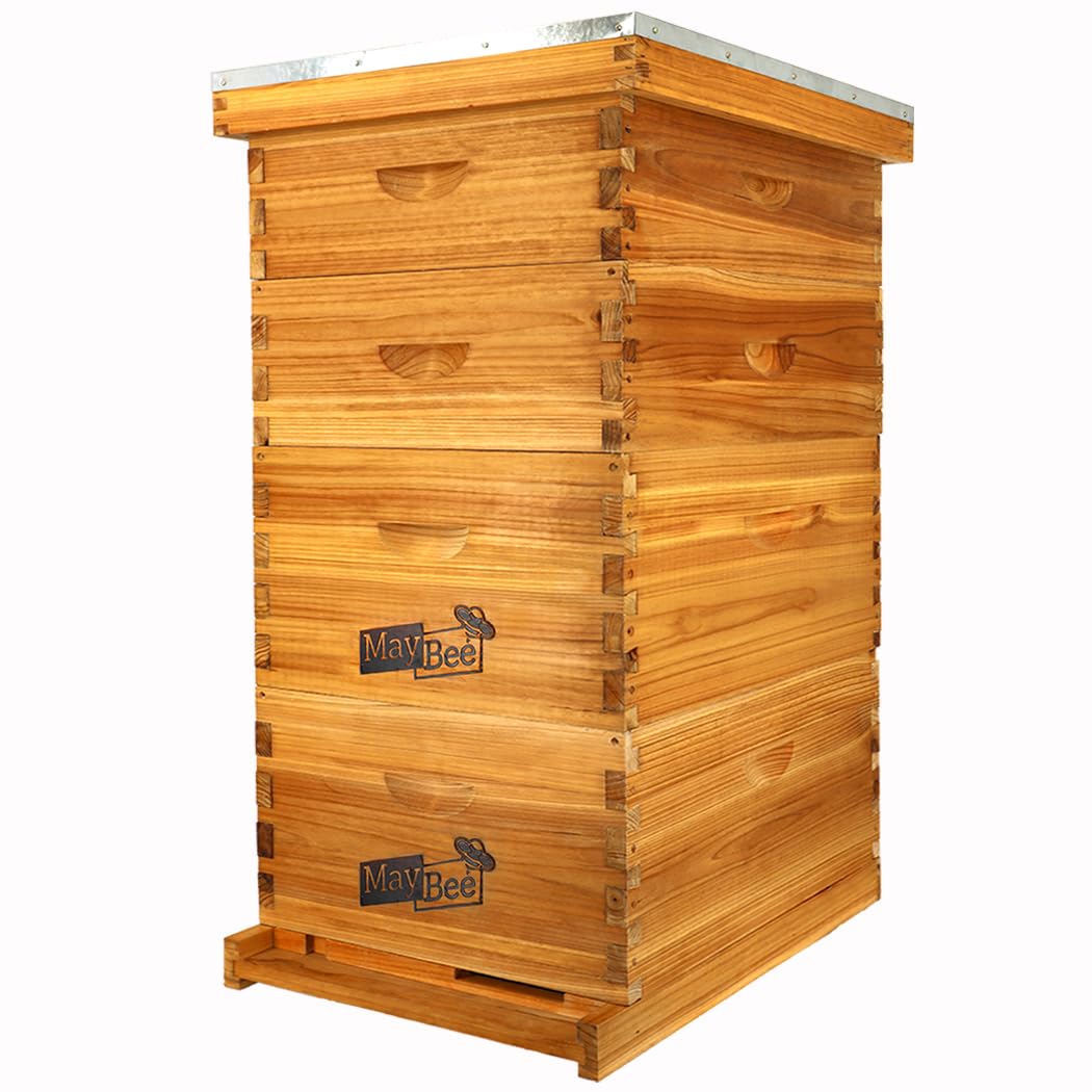 MayBee 10-Frame Langstroth Beehive Dipped in