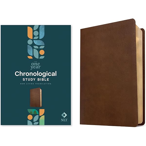 洋書 CHRONOLOGICAL BIBLE 洋書 CHRONOLOGICAL BIBLE 洋書 CHRONOLOGICAL BIBLE ESV