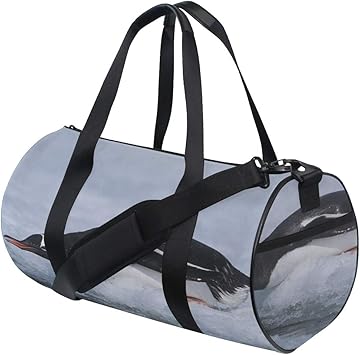 amazon coach luggage