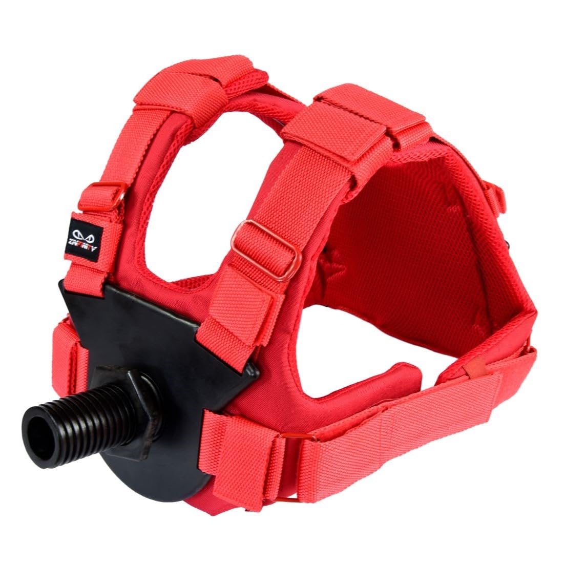 Weighted Vest Max Load 80 KGs 175 Lbs Plate Carrier in Black, Plate Loader, Uses Standard 2" inch gym weight plates 50.6mm diameter for Calistheincs, Fitness, Powerlifting and Body Building (Red)