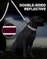 Taglory Dog Leash Small Medium Reflective Padded Handle 2cm x 120cm Hot Pink view 5