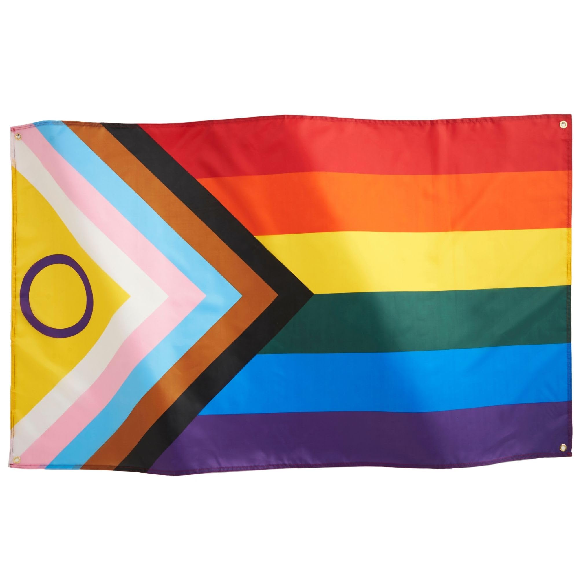 Runesol Progress Pride Flag 3x5, 91x152cm, LGBTQ+ Intersex Rainbow, 4 Grommets, Brass Eyelet in Every Corner, Parade, Festival, Party, Carnival, Premium Flags, Inside, Outside, Vivid Colours — image 1