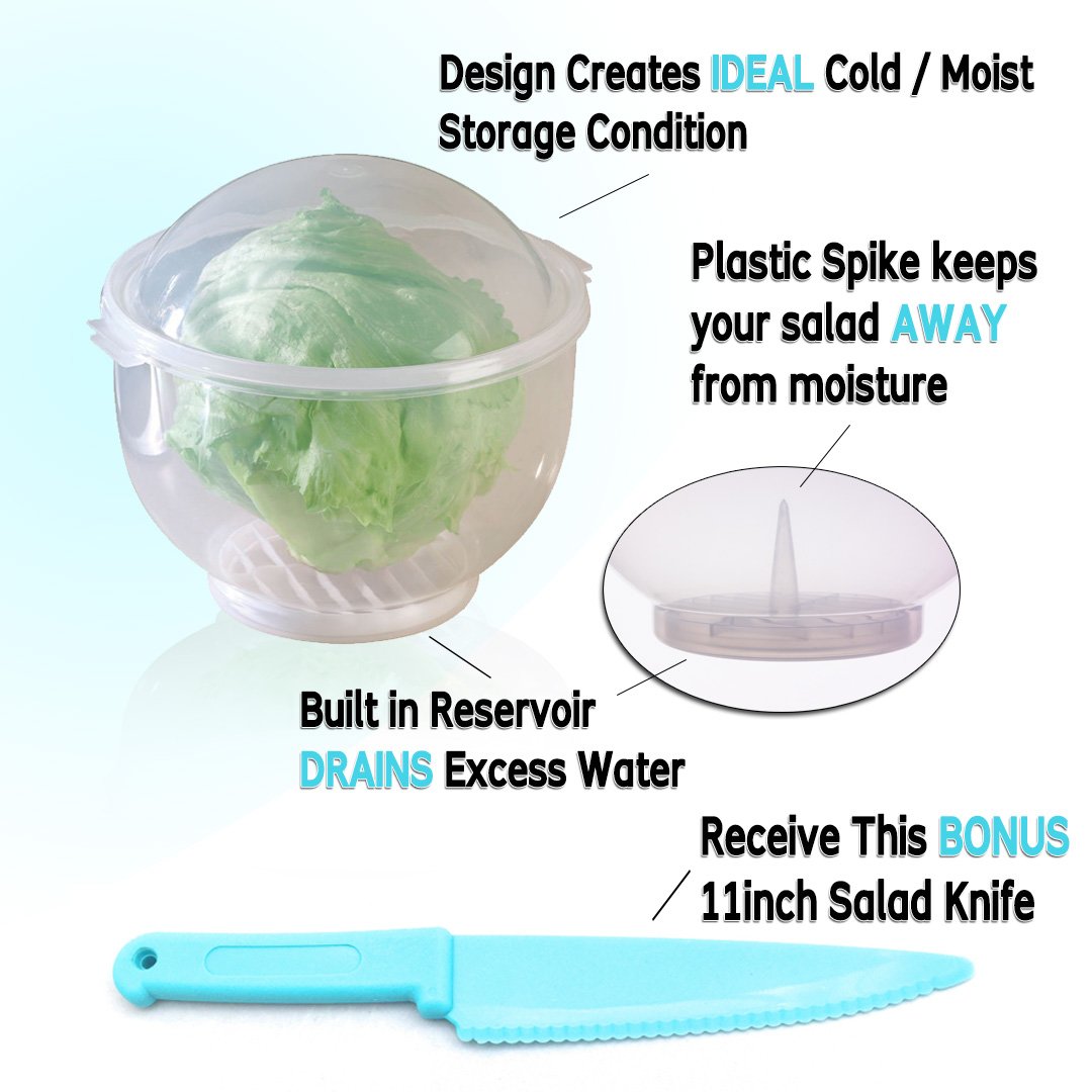Lettuce Crisper Salad Keeper Container Keeps your Salads and Vegetables