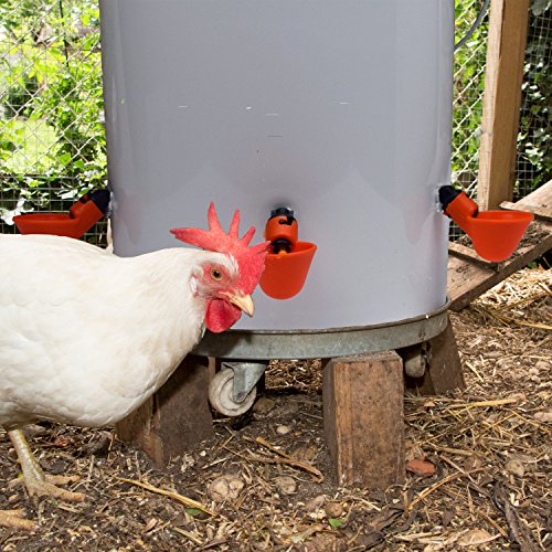 Outwest Trading Automatic Chicken Waterer Poultry Watering Cups