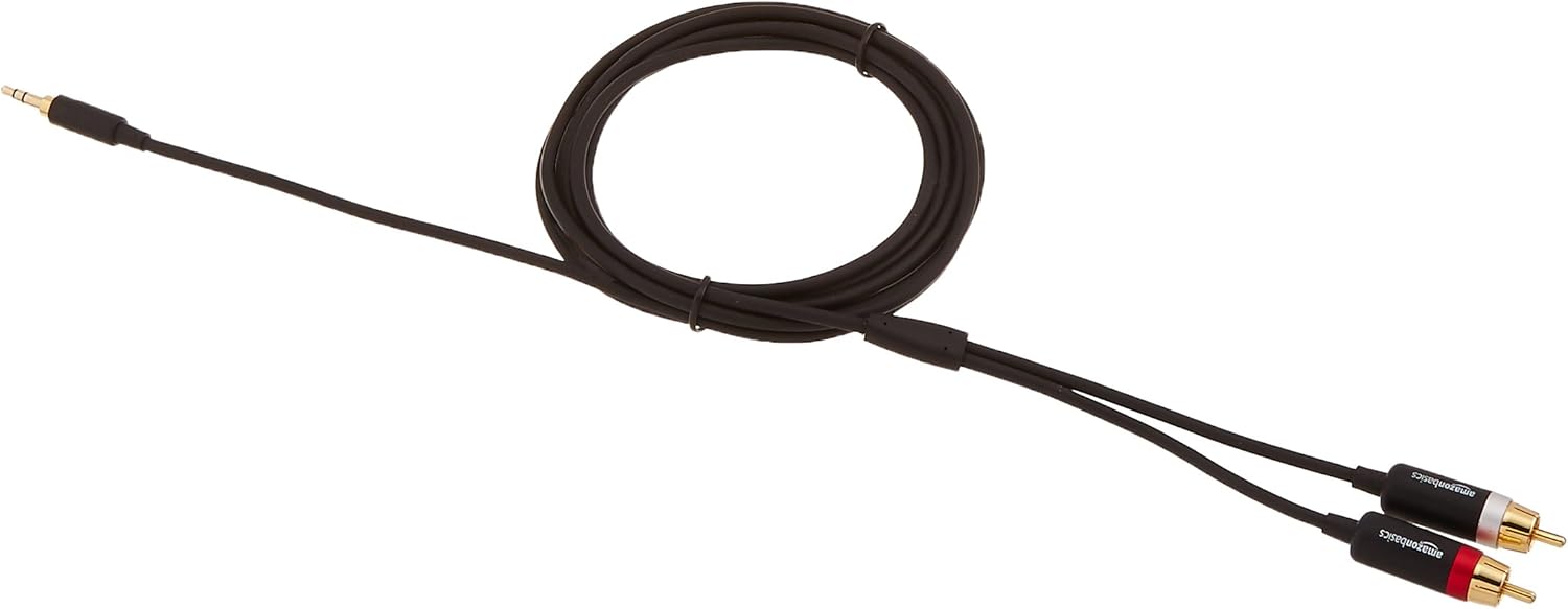  Basics 3.5mm to 2-Male RCA Adapter Audio Stereo Cable - 8 Feet: Home Audio & Theater