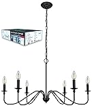 Black Chandelier RC Ceiling Light Fixture -6 Light