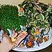 Mood Lab Fairy Garden Fairies - Miniature Figurines Accessories - Camping Fun Set of 8 pcs - Hand Painted Kit for Outdoor or House Decor