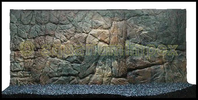 3D Aquarium Rückwand 100x50 Aquariumrückwand Dünn