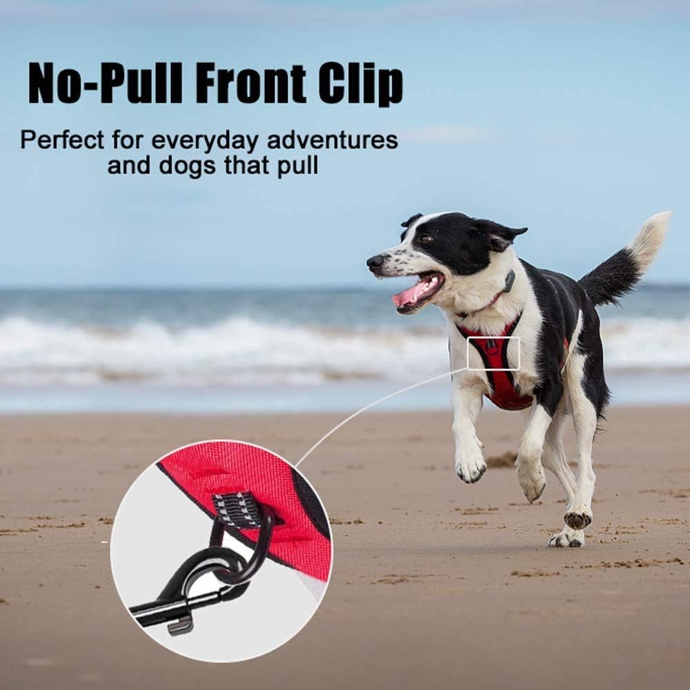PoyPet No Pull Dog Harness, Reflective Vest Harness with 2 Leash Attachments and Easy Control Handle for Small Medium Large Dog(Red,M) - Image 4
