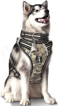 sled dog harness amazon