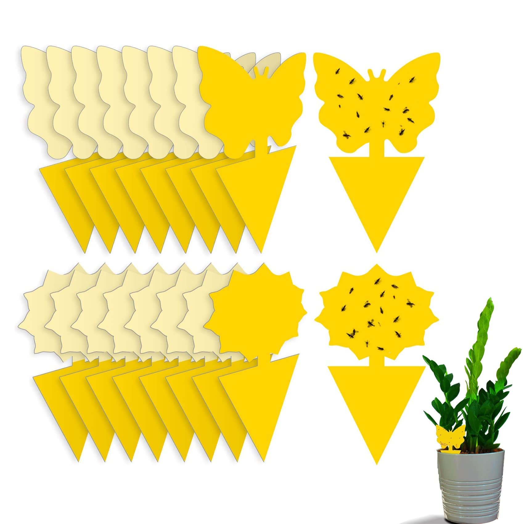 Rpanle 50 Pieces Fruit Fly Traps, Yellow Dual-Sided Sticky Fly Traps, for Flying Aphid, Whiteflies or Flying Plant Insects