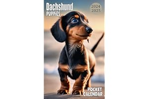 Dachshund Puppies Pocket Calendar 2024-2025: 24 Months Monthly Agenda,Measuring 4*6.5 inches Fits Your Purse and Bag
