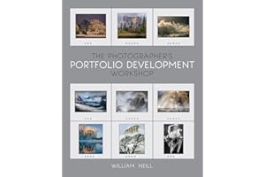 The Photographer's Portfolio Development Workshop: Learn to Think in Themes, Find Your Passion, Develop Depth, and Edit Tight