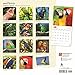 Parrots 2018 12 x 12 Inch Monthly Square Wall Calendar, Domestic Wildlife Animals Bird Tropical Rainforest