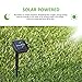 Ihomy Solar Powered String Lights, 33ft 100 LEDs Waterproof Fairy Lights, Outdoor/Indoor Starry Copper Wire Lights, Decoration Lights for Gardens, Home, Wedding, Party, Christmas