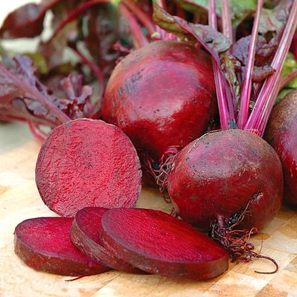 Beetroot Boltardy Seeds – Pack of 200 Seeds – SOW Direct INTO Your Garden – Bolt Resistant – Slow to Run to Seed – Harvest Small or Tennis Ball Size – for Your Kitchen Garden