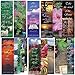 eThought Bible Verse Cards - Favorite Bible Verses - Assorted Pack of 50 Bookmark Size Cards