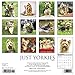 Just Yorkies 2018 Wall Calendar (Dog Breed Calendar)