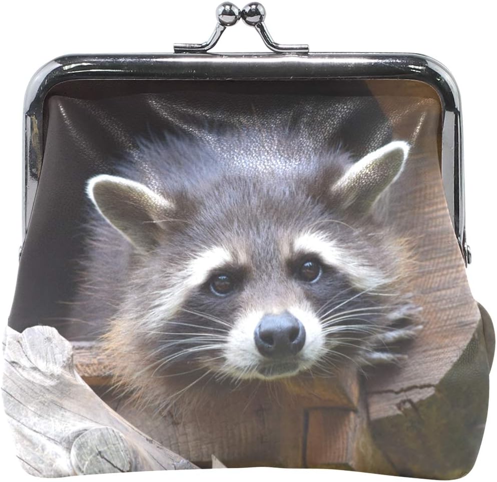Raccoon Wildlife Cute Leather Coin Purse Clasp Pouch for Women Girls Change Purse Wallet Kiss-Lock