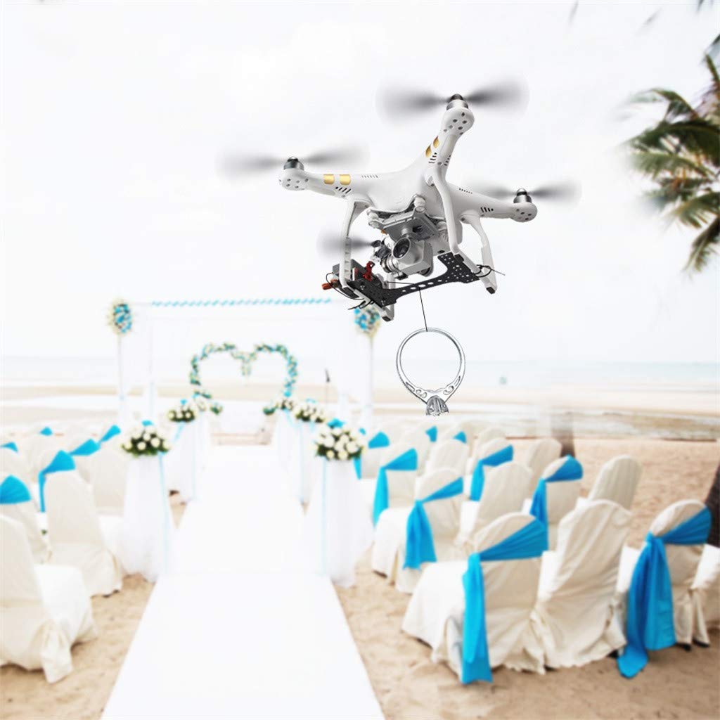 dji phantom 3 payload