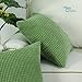 CaliTime Throw Pillow Covers Pack of 2 Comfy Corduroy Corn Striped Waffle Decorative Cushion Cases for Couch Sofa Bed Farmhouse 18 X 18 Inches Forest Green