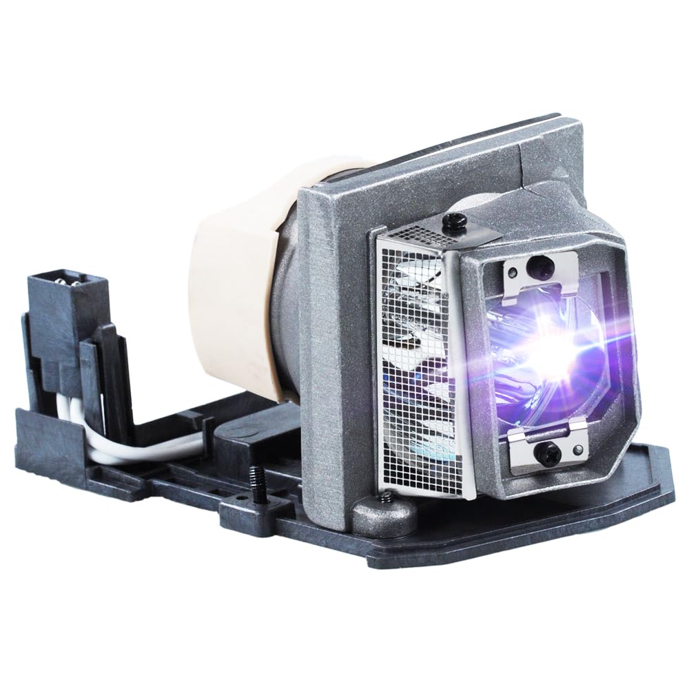 iReijomoi Replacement Lamp SP.8LG01GC01 Bulb with Housing for OPTOMA DB2401/DB3401/DS211/DT2401/DT3401/DX211/ES521/EX521/OPX2630/PJ666/PJ888 Projectors