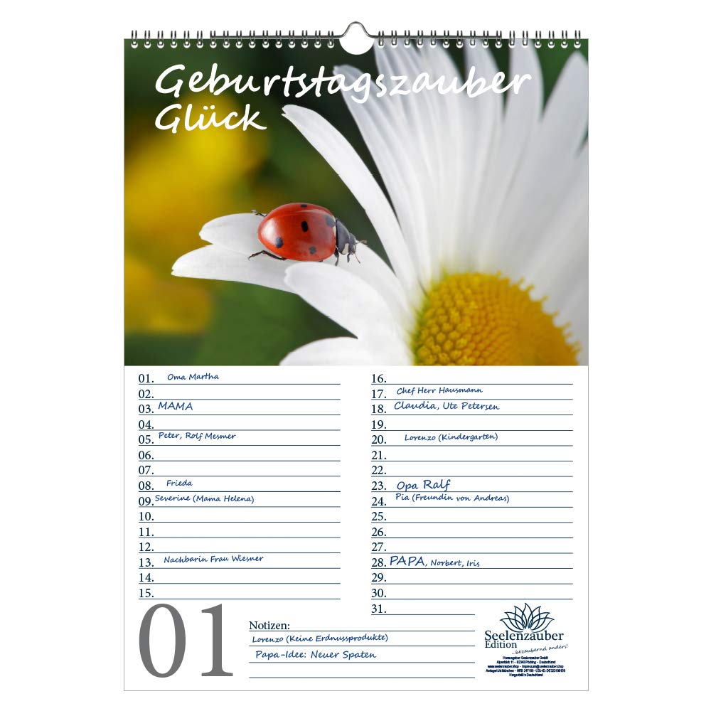 Birthday Planner Birthday Calendar Lucky Ladybird DIN A3 Calendar – Soul Magic